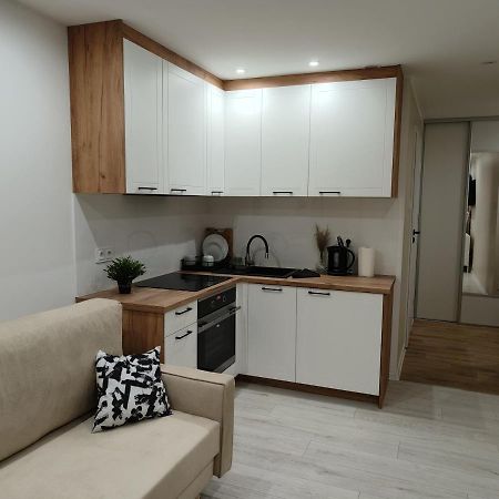 Mieszkanie W Centrum Tarnowa Εξωτερικό φωτογραφία